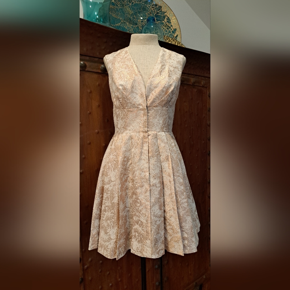 NWOT RACHEL ZOE Dress In Soft Blush w/ Metallic Rosegold Brocade Print. Sz 6